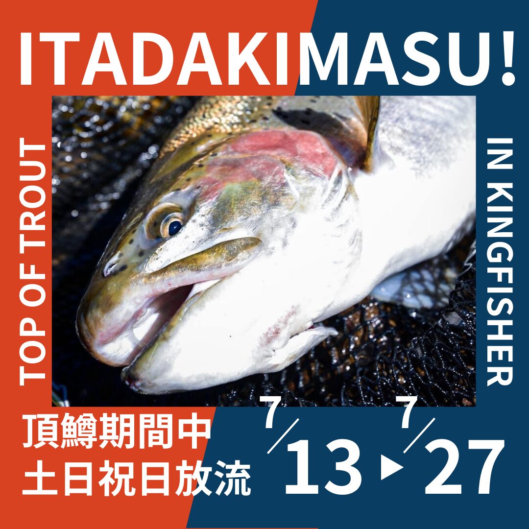 7月13日〜27日土日祝日放流】TOP OF TROUT「頂鱒」放流！ - 栃木県大田原市のトラウトとブラックバスの管理釣り場のアングラーズパーク  キングフィッシャー公式ホームページ。豊富な湧き水で年間を通して水温が安定。オールシーズン釣りが楽しめる。