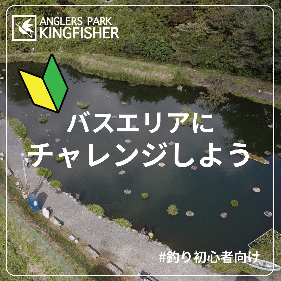 管理釣り場でブラックバス釣りに挑戦しよう！ - 栃木県大田原市の