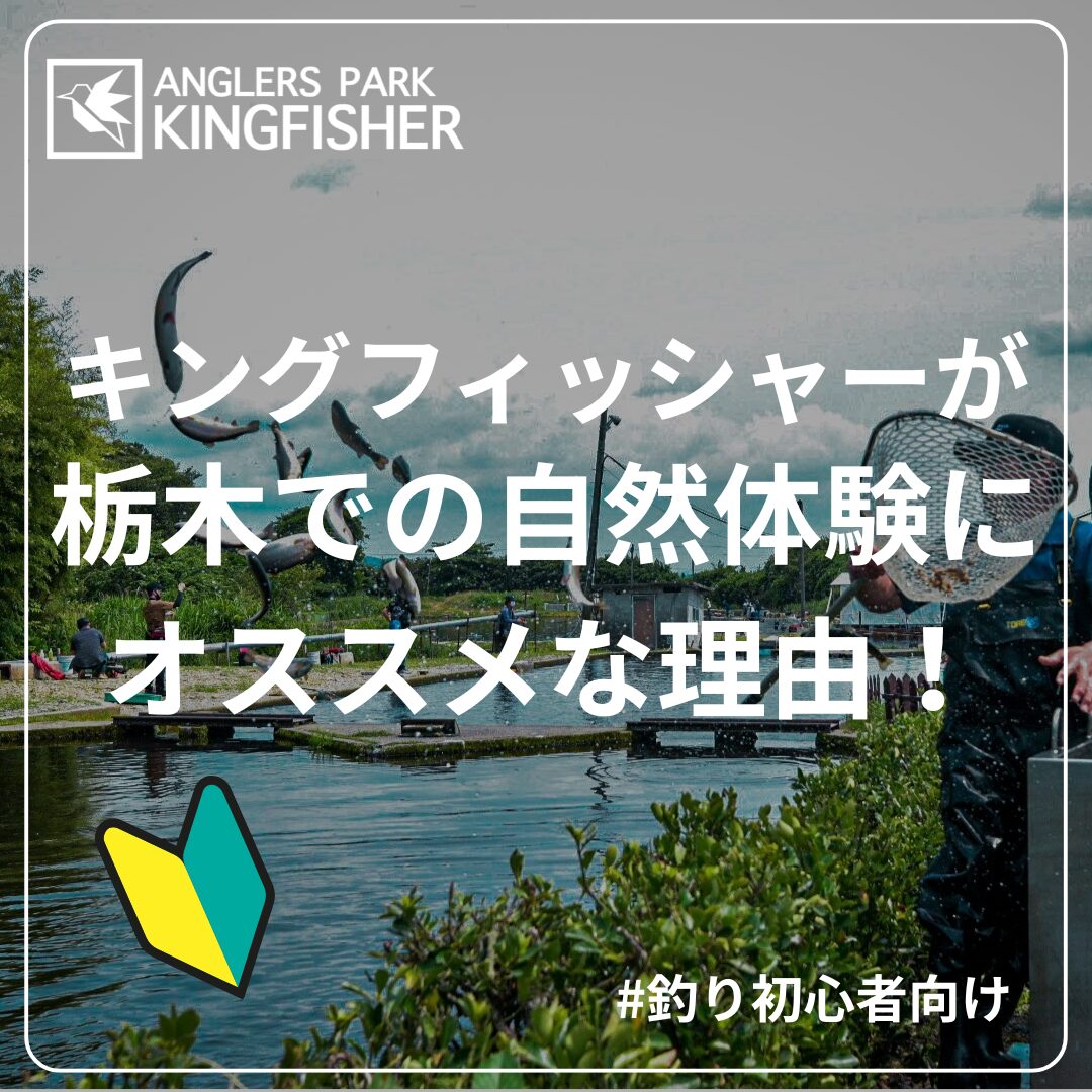 栃木で自然体験！管理釣り場でニジマス釣りを楽しもう！ - 栃木県大田原市のトラウトとブラックバスの管理釣り場のアングラーズパーク  キングフィッシャー公式ホームページ。豊富な湧き水で年間を通して水温が安定。オールシーズン釣りが楽しめる。