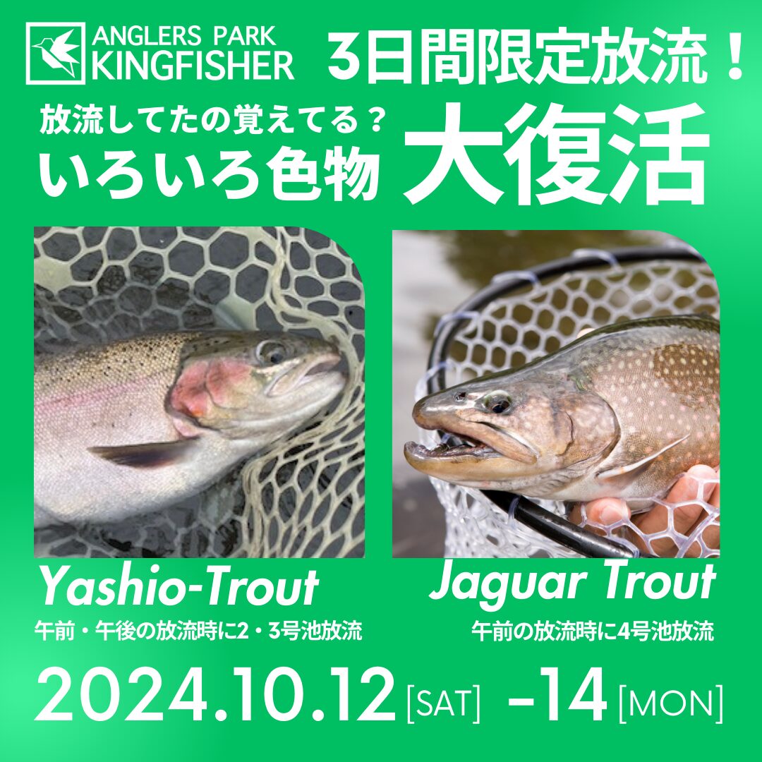10月12日-14日の3日間開催】「いろいろ色物大復活！ヤシオマス