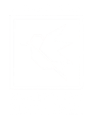 loader image